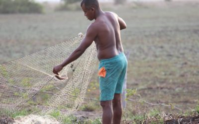 Empresa de energia destrói campos alagáveis e ameaça sobrevivência de povos tradicionais no Maranhão